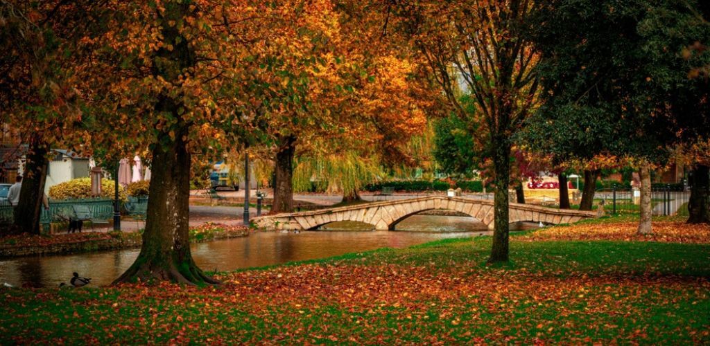 Autumn-boutique-header.jpg