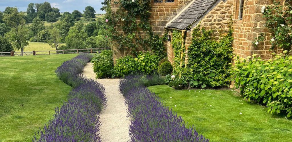 The-Chipping-Norton-Garden-Company.jpg