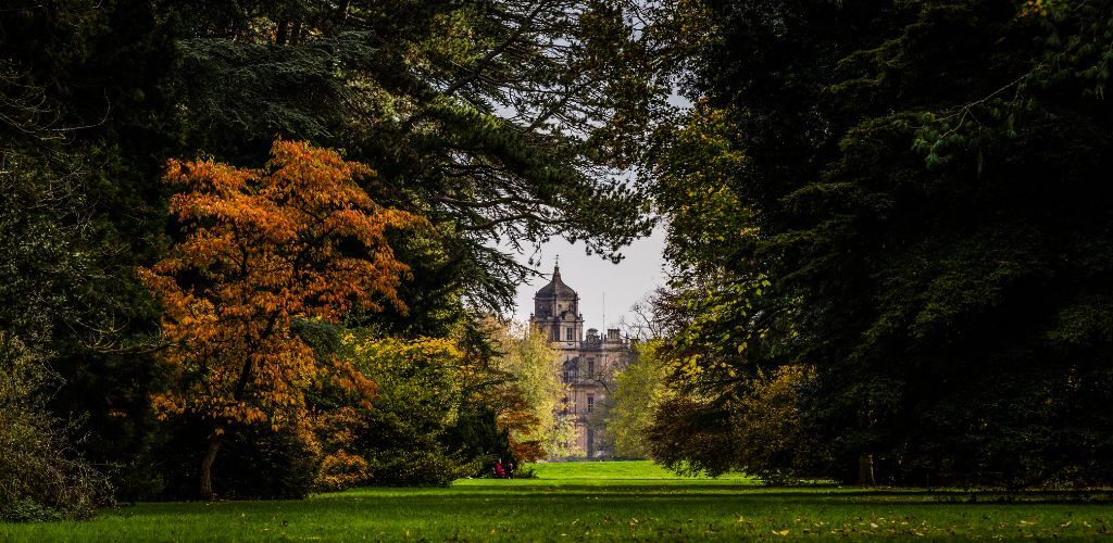 westonbirt.jpg